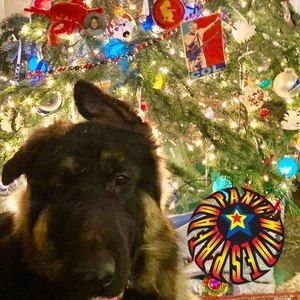 Meet your Posher, Tricia